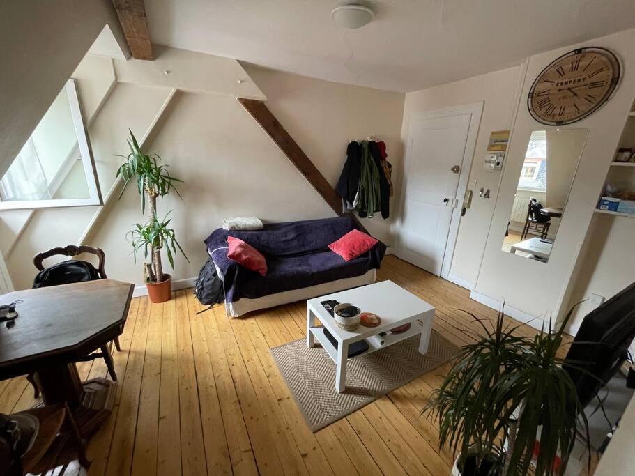 Joli 2 Pieces - Krutenau Austerlitz Appartement *