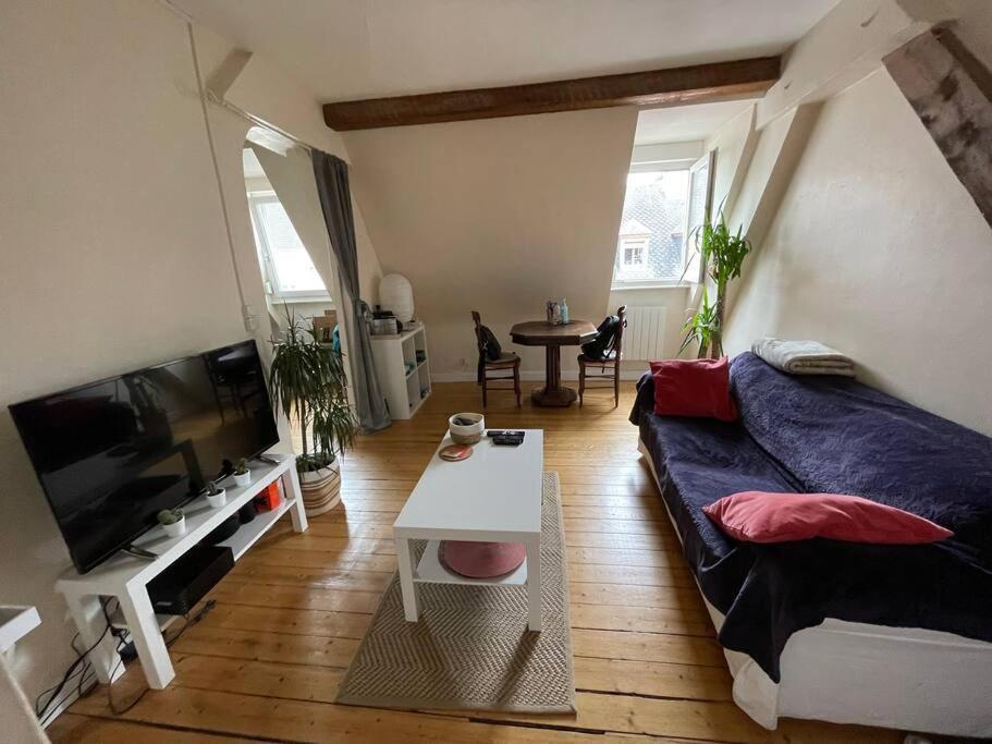 Appartement Joli 2 Pieces - Krutenau Austerlitz