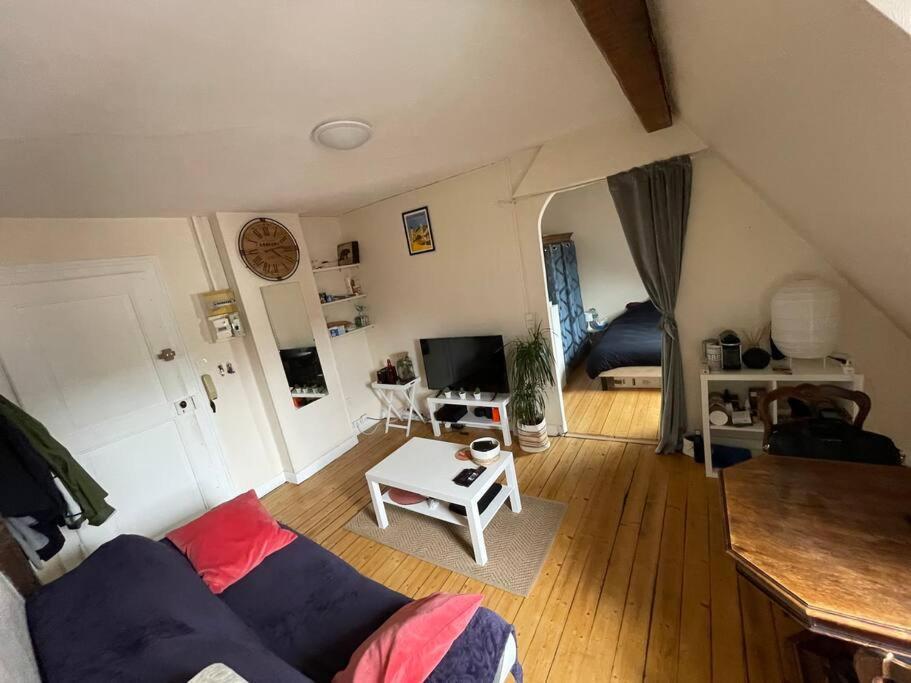 Appartement Joli 2 Pieces - Krutenau Austerlitz
